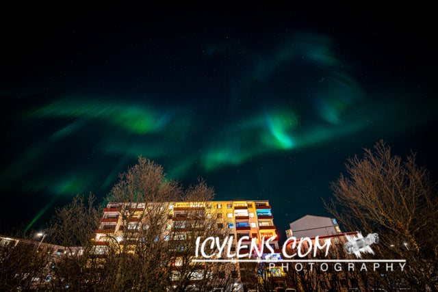 Northern Light - Blikahólar in Reykjavík