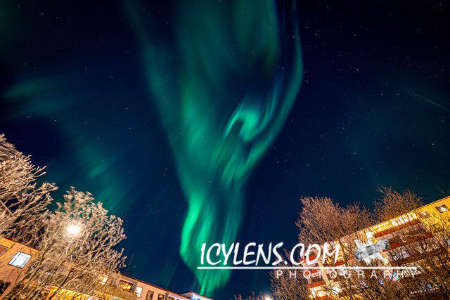 Northern Light - Dancing Queen
